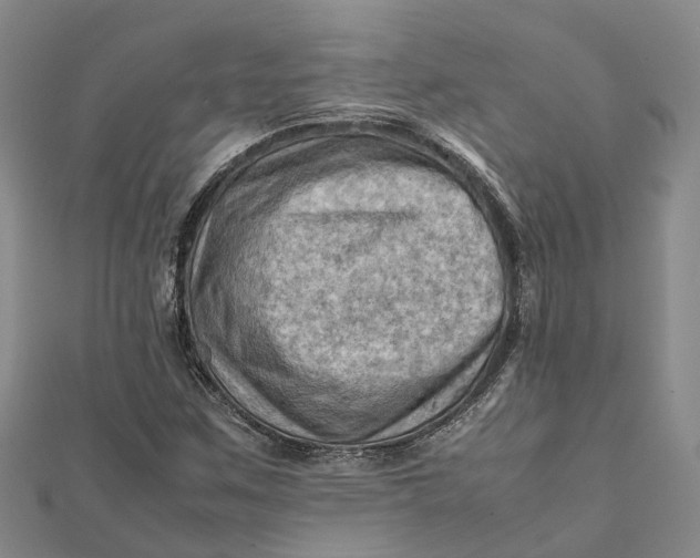 X0000112091259200908251120