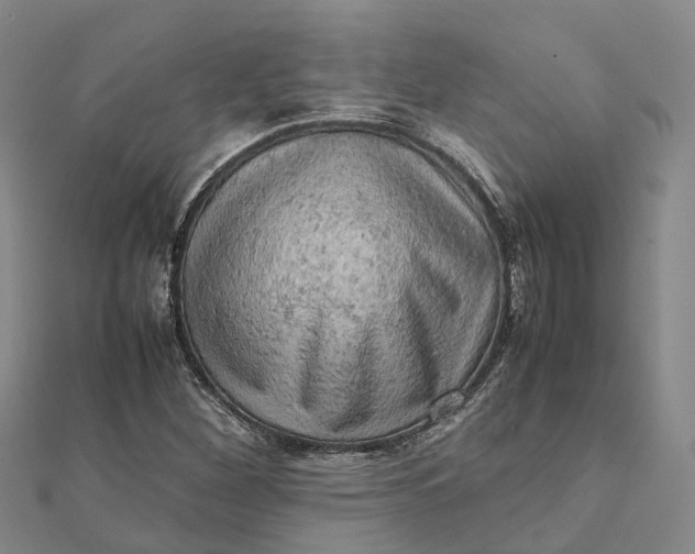 X0000112091260200908251120