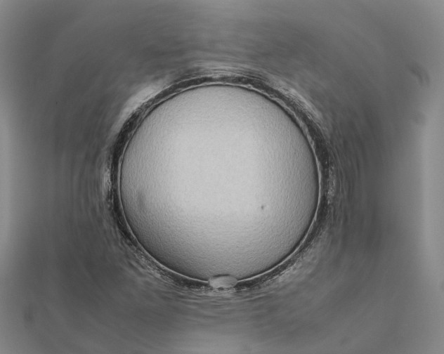 X0000112091261200908251120