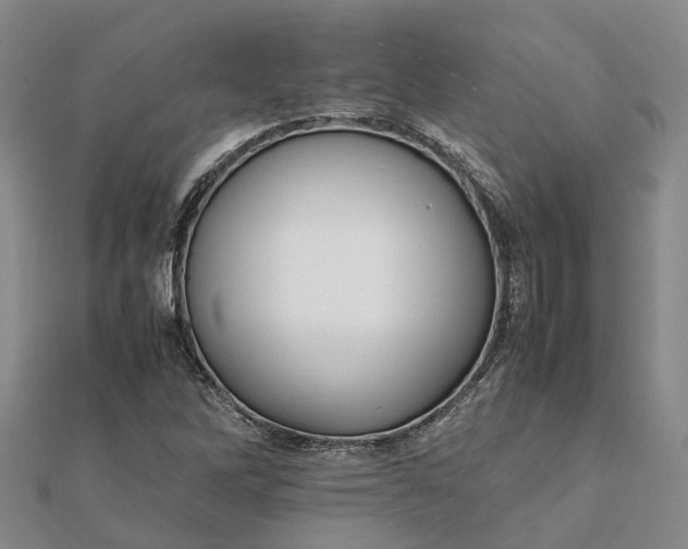 X0000112091262200908251120