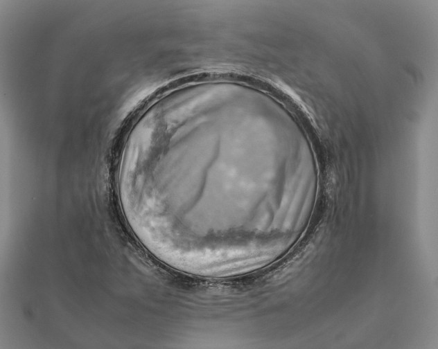 X0000112091263200908251120