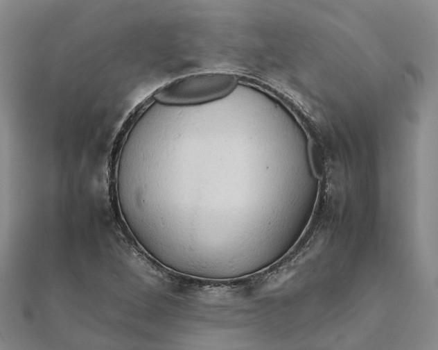 X0000112091264200908251120