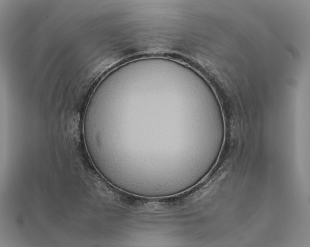 X0000112091265200908251120