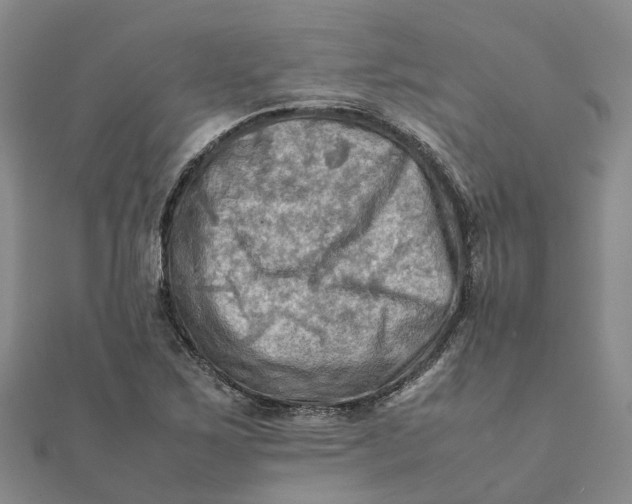 X0000112091267200908251120