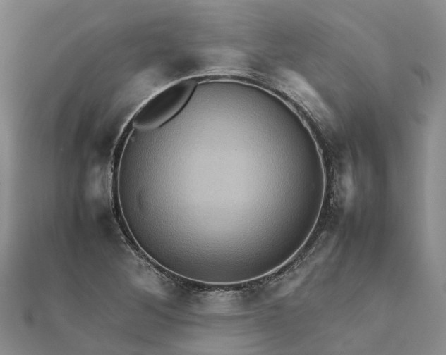 X0000112091268200908251120