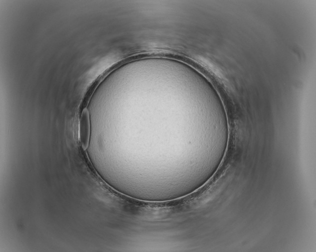 X0000112091269200908251120