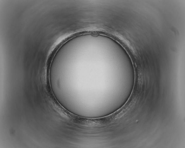 X0000112091270200908251120