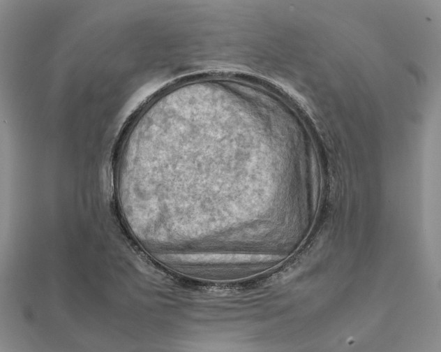 X0000112091271200908251120