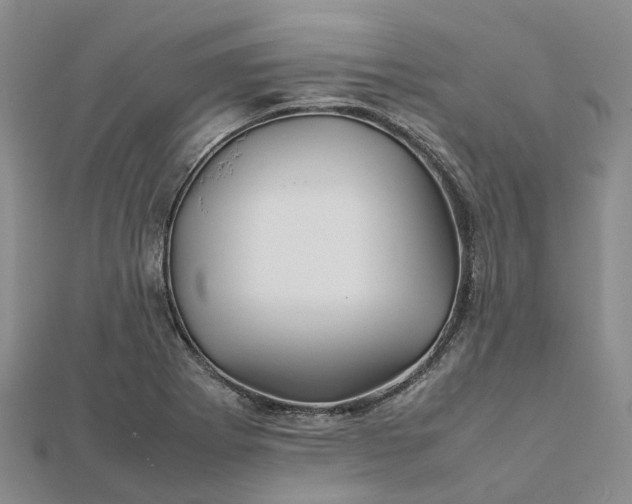 X0000112091273200908251120