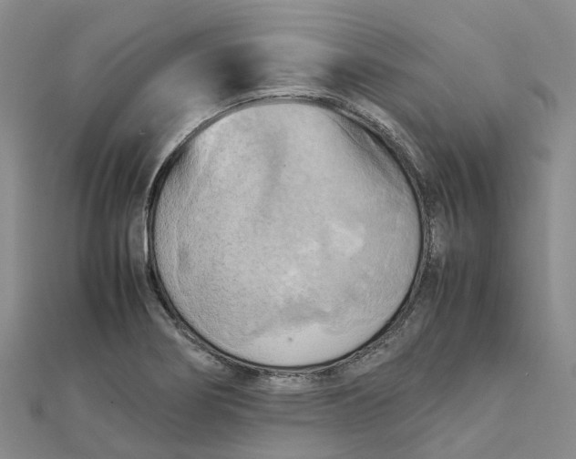 X0000112091274200908251120