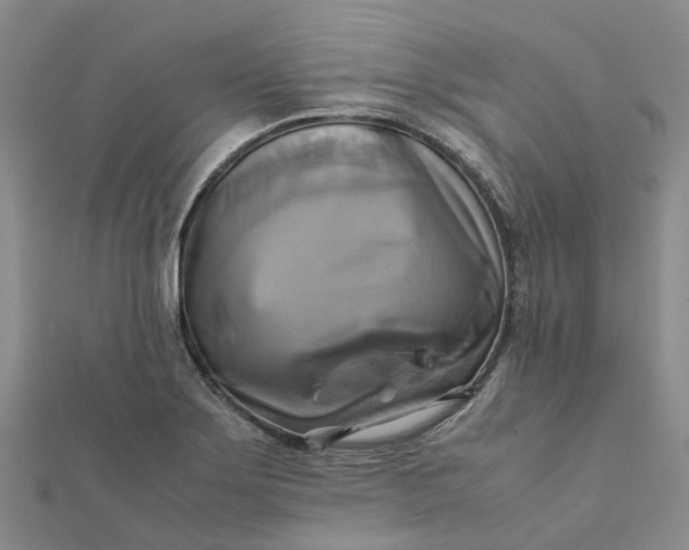 X0000112091275200908251120