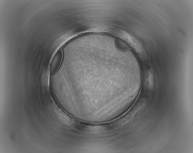 X0000112091276200908251120