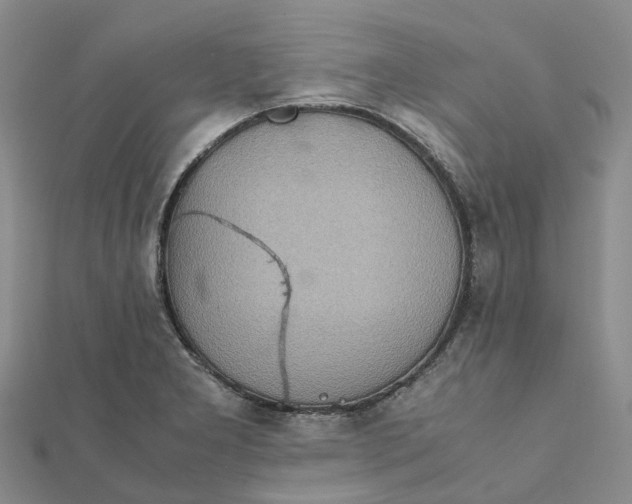 X0000112091277200908251120