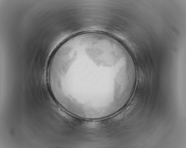 X0000112091278200908251120