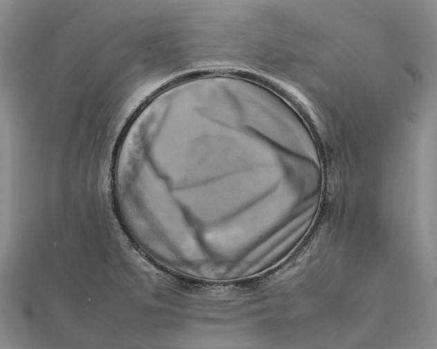 X0000112091279200908251120