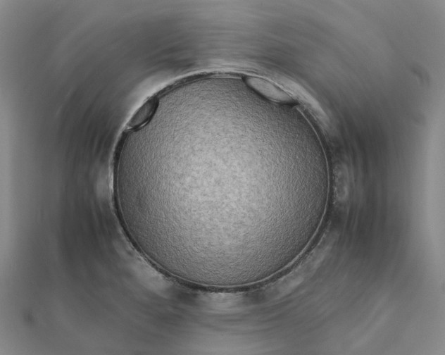 X0000112091280200908251120