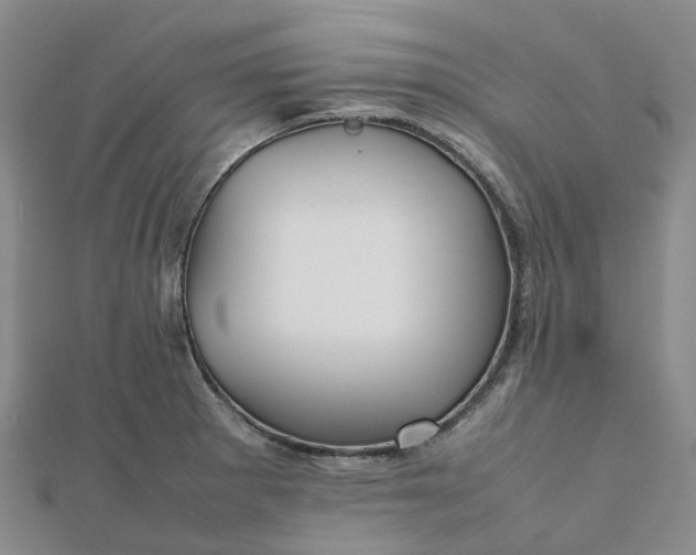 X0000112091281200908251120