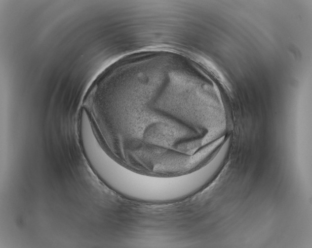 X0000112091284200908251120