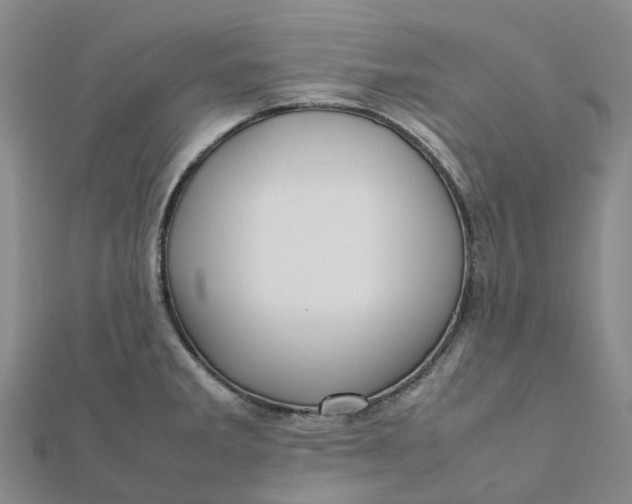 X0000112091285200908251120