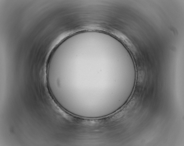 X0000112091286200908251120