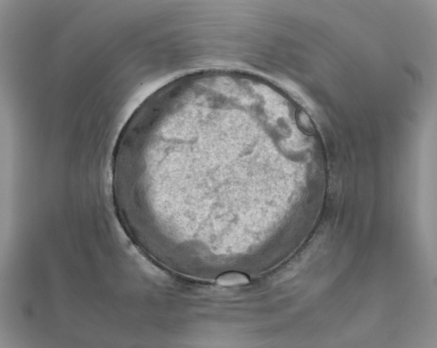 X0000112091287200908251120