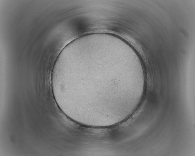 X0000112091289200908251120