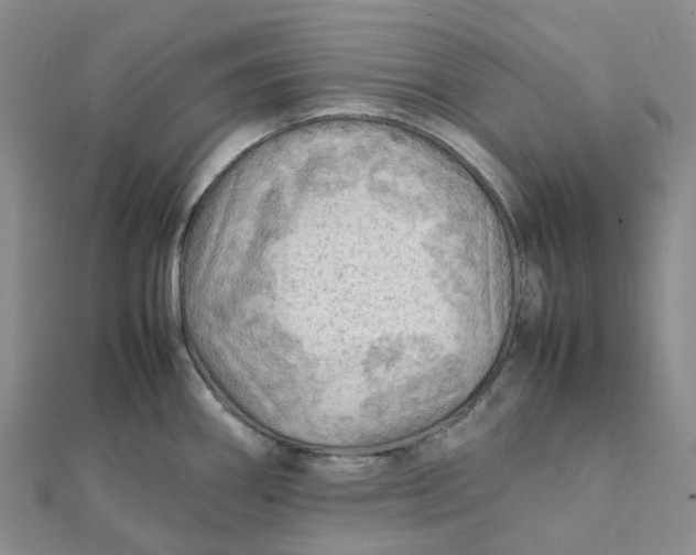 X0000112091290200908251120