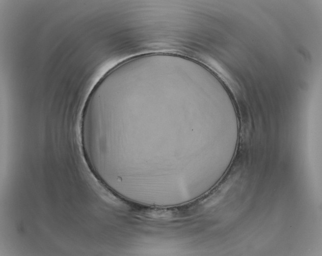 X0000112091291200908251120