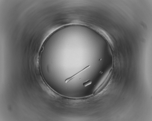 X0000112091292200908251119