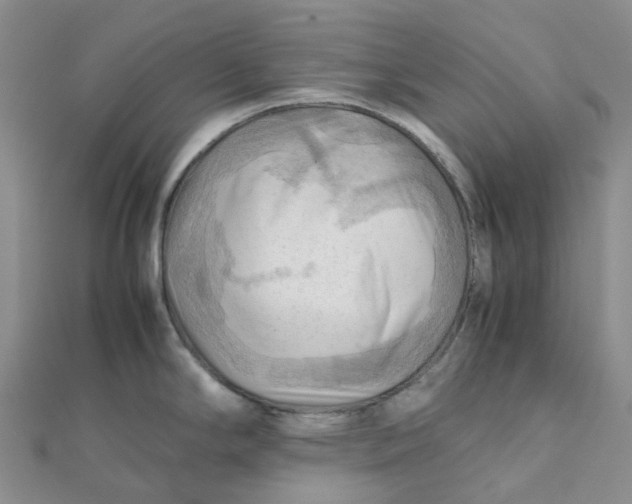 X0000112091294200908251119