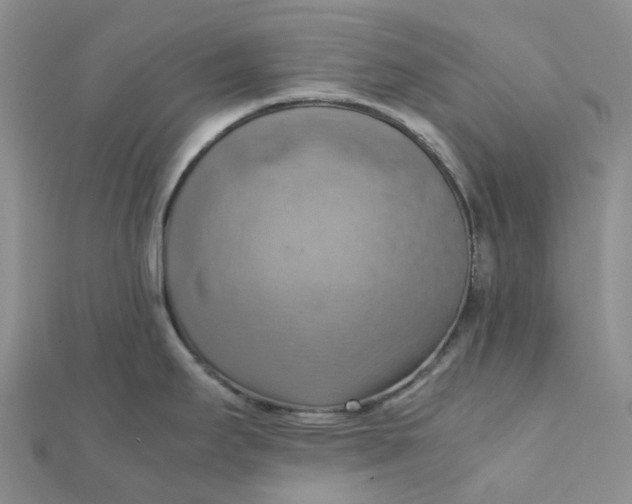 X0000112091295200908251119