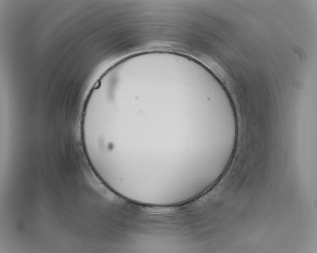 X0000112091296200908251119