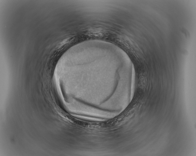 X0000112091297200908251119