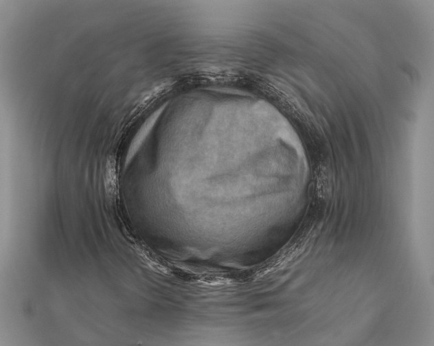 X0000112091298200908251119