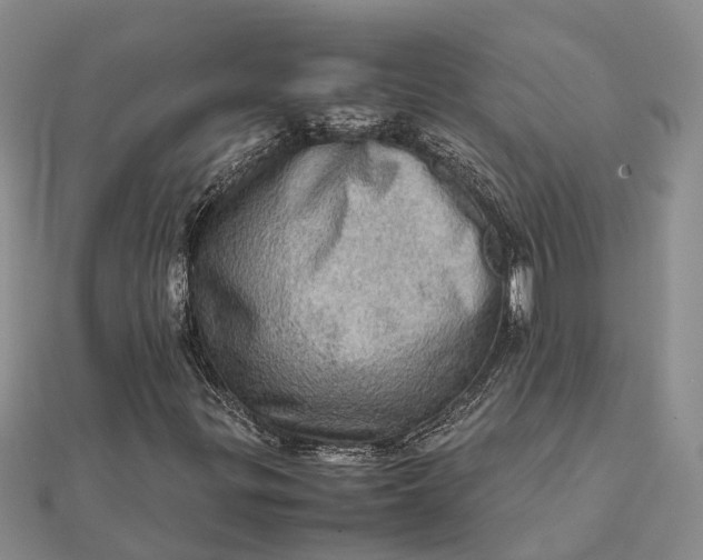 X0000112091299200908251119