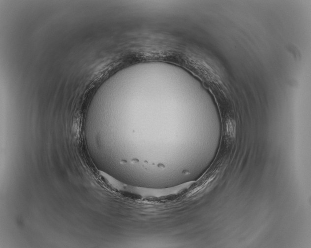 X0000112091300200908251119