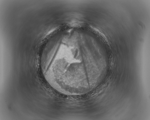 X0000112091301200908251119