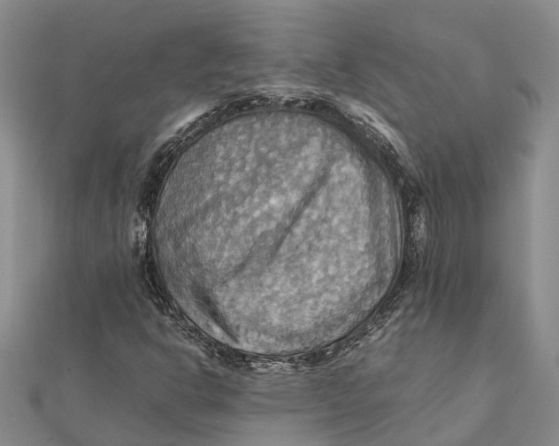 X0000112091302200908251119