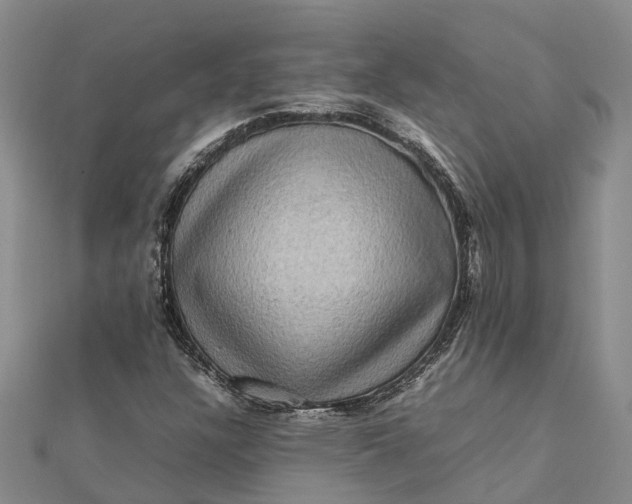 X0000112091304200908251119