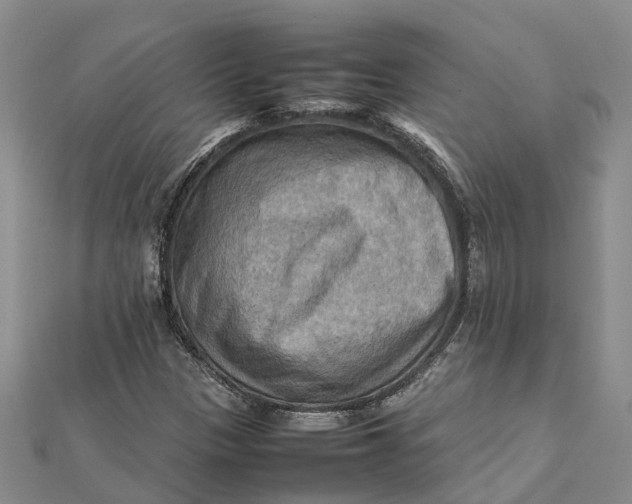 X0000112091305200908251119