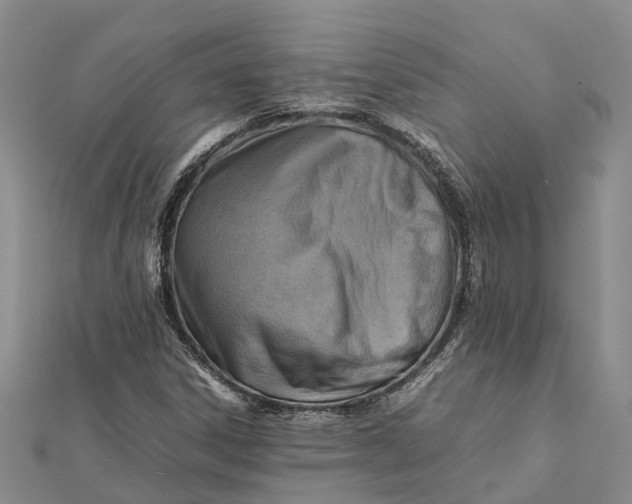 X0000112091306200908251119