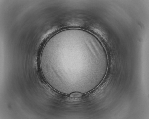 X0000112091307200908251119