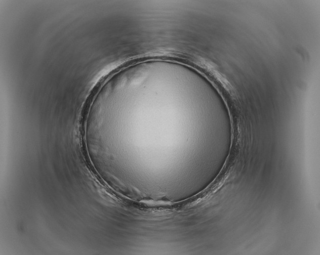 X0000112091308200908251119