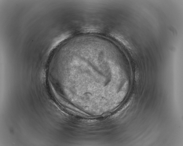 X0000112091309200908251119