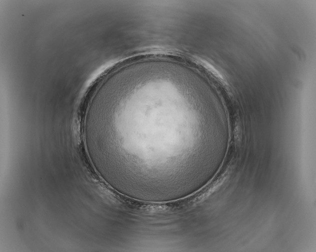 X0000112091310200908251119