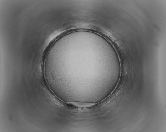 X0000112091312200908251119