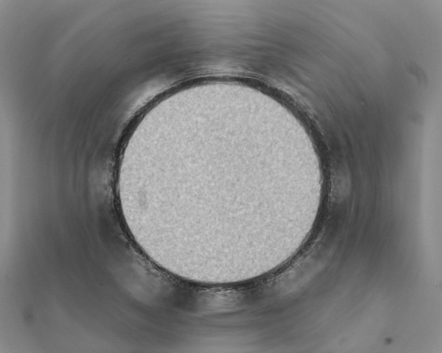 X0000112091314200908251119