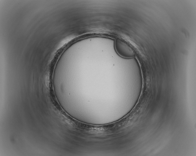 X0000112091315200908251119