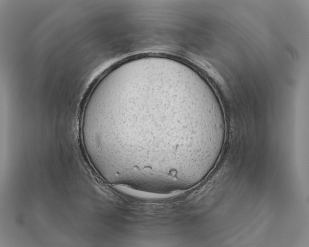 X0000112091316200908251119