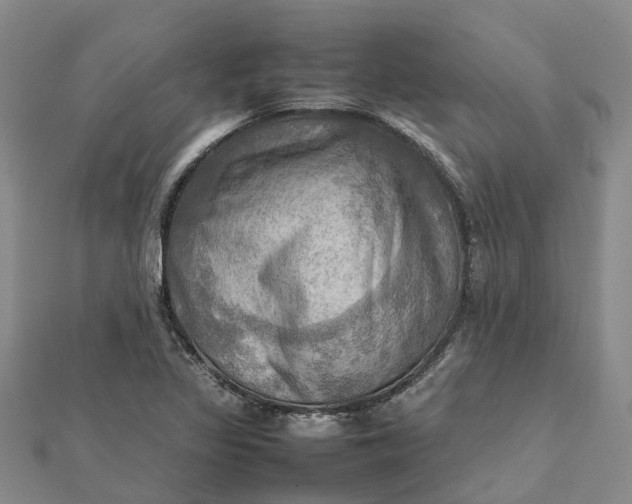 X0000112091317200908251119